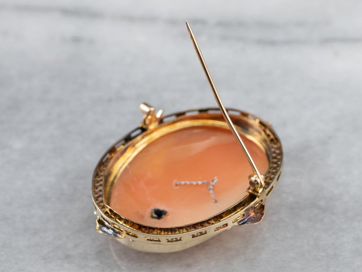 Retro Diamond Cameo Habille Brooch
