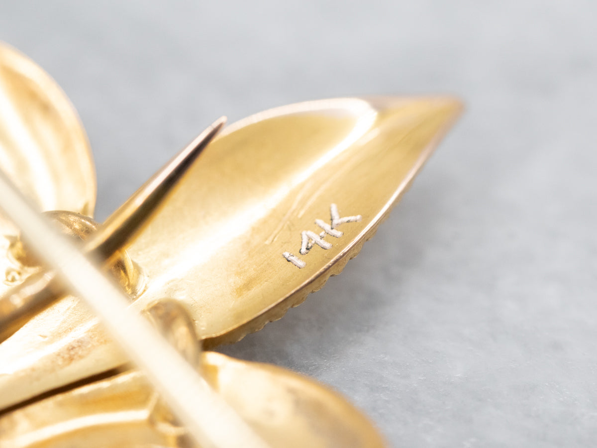 Victorian Fleur De Lis Brooch