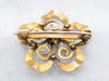 Antique Forget-Me-Not Old Mine Cut Diamond Brooch