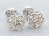 Floral Diamond Stud Earrings in White Gold
