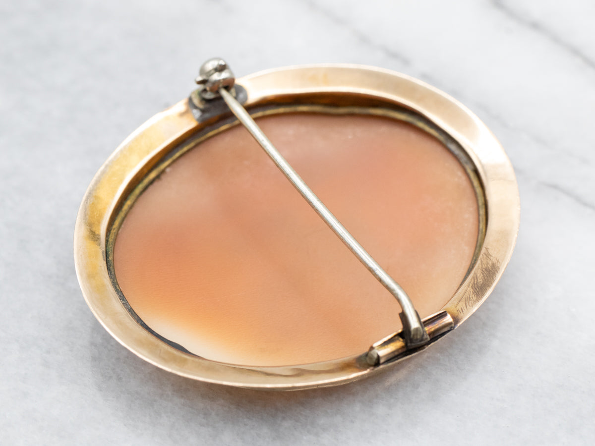 Vintage Landscape Cameo Brooch or Pendant