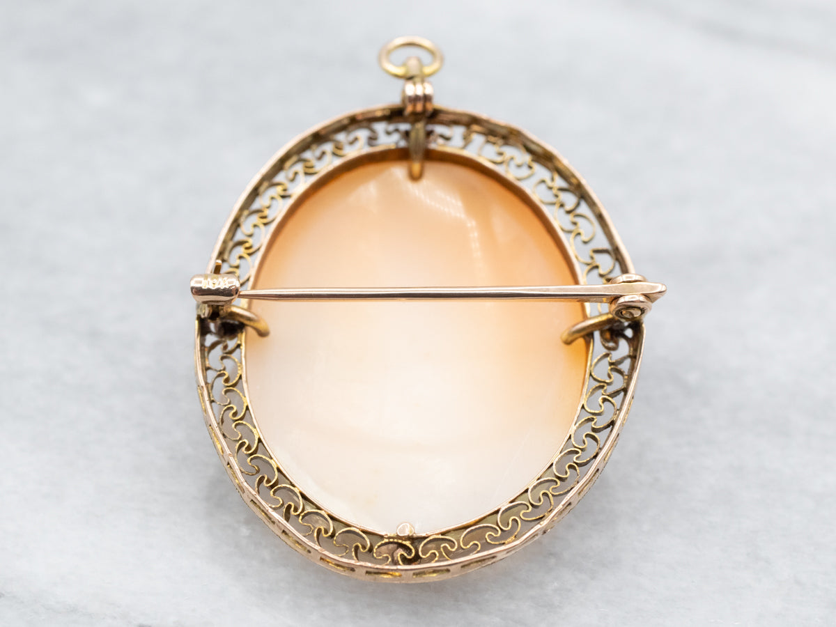 Timeless Cameo Brooch or Pendant