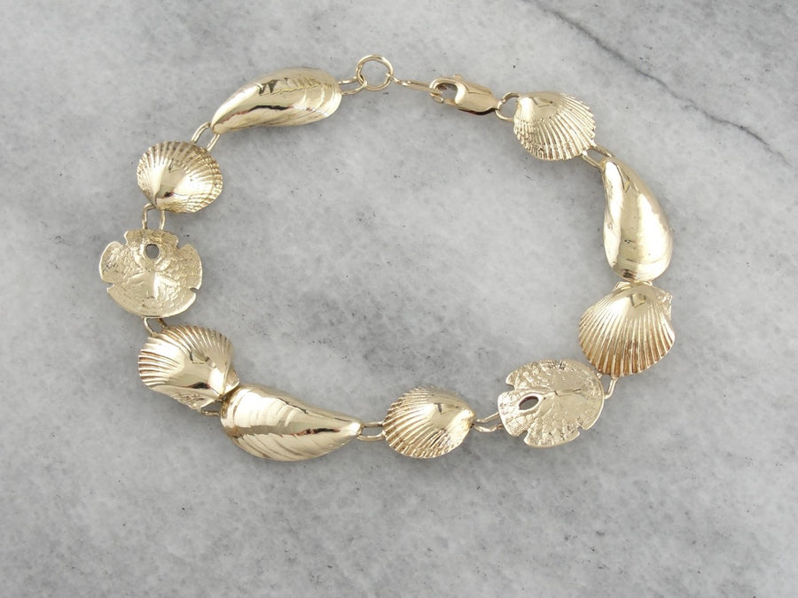 Scallop, Mussel and Silver Dollar Shell Link Bracelet