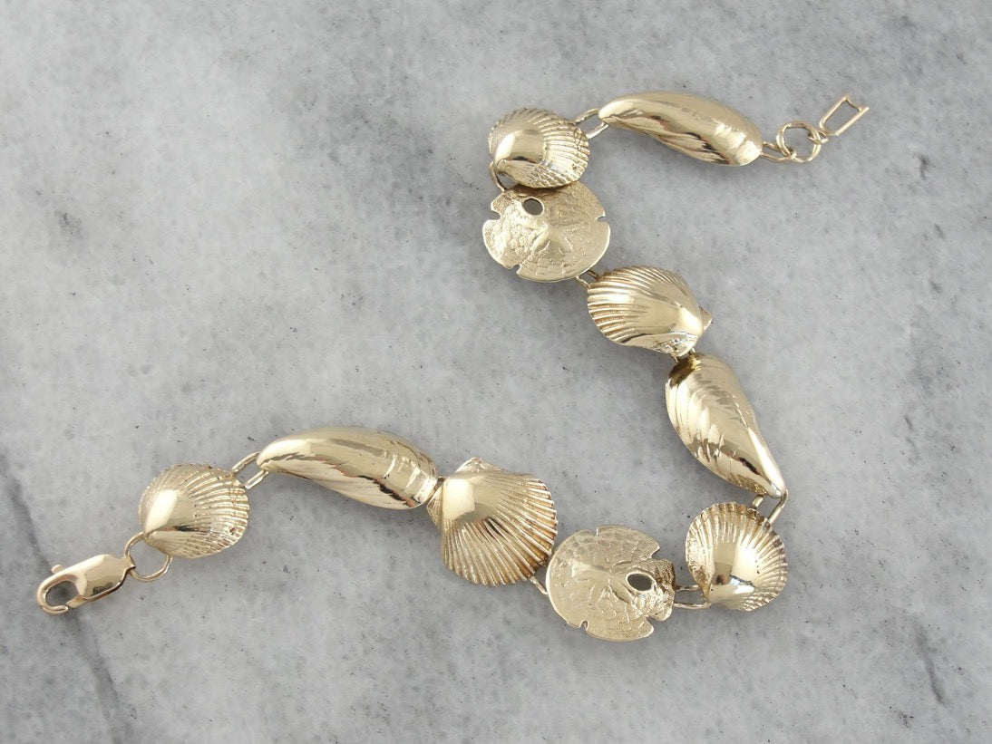 Scallop, Mussel and Silver Dollar Shell Link Bracelet
