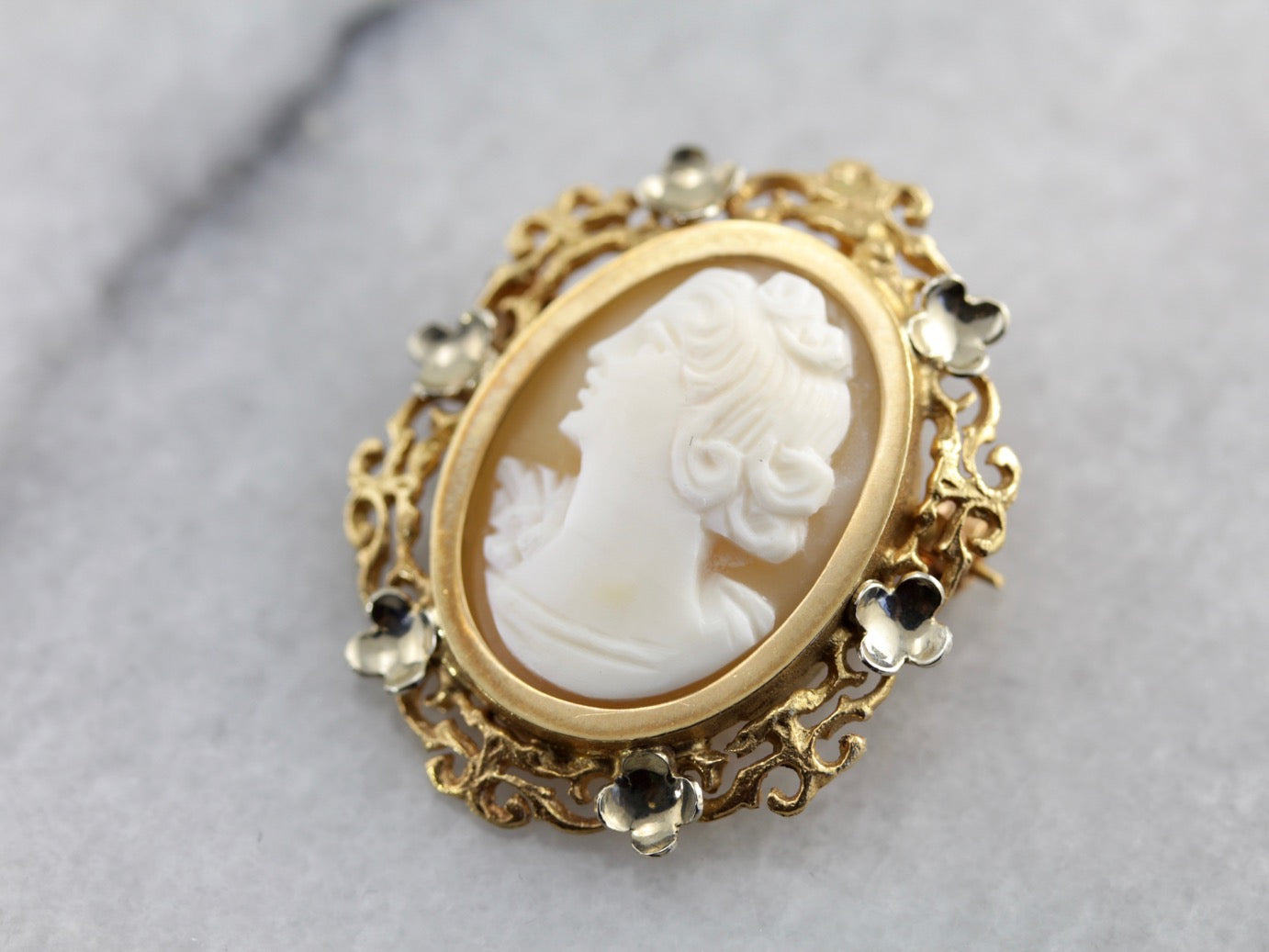 Vintage Cameo Brooch with Lovely Floral Frame